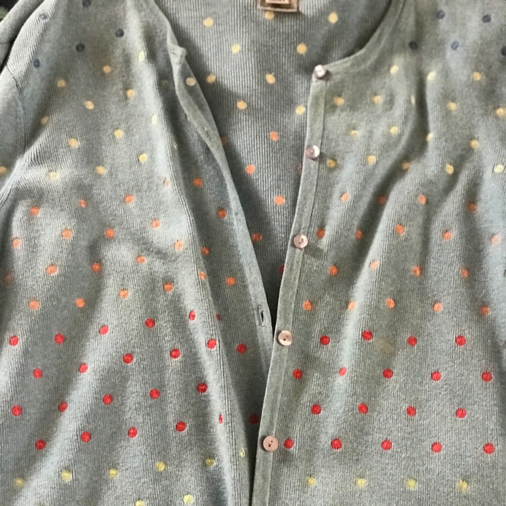 Cardigan sweater